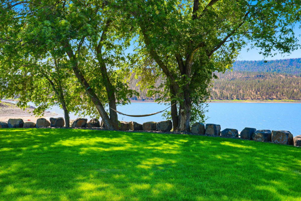 Hammock under trees at waterfront
